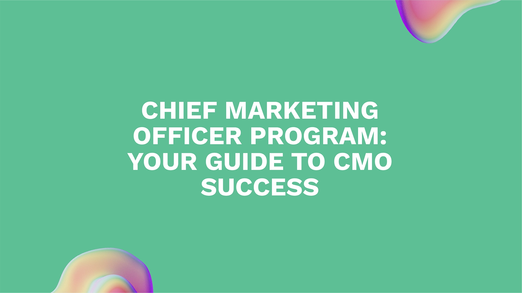 Chief Marketing Officer Program: Your Guide to CMO Success