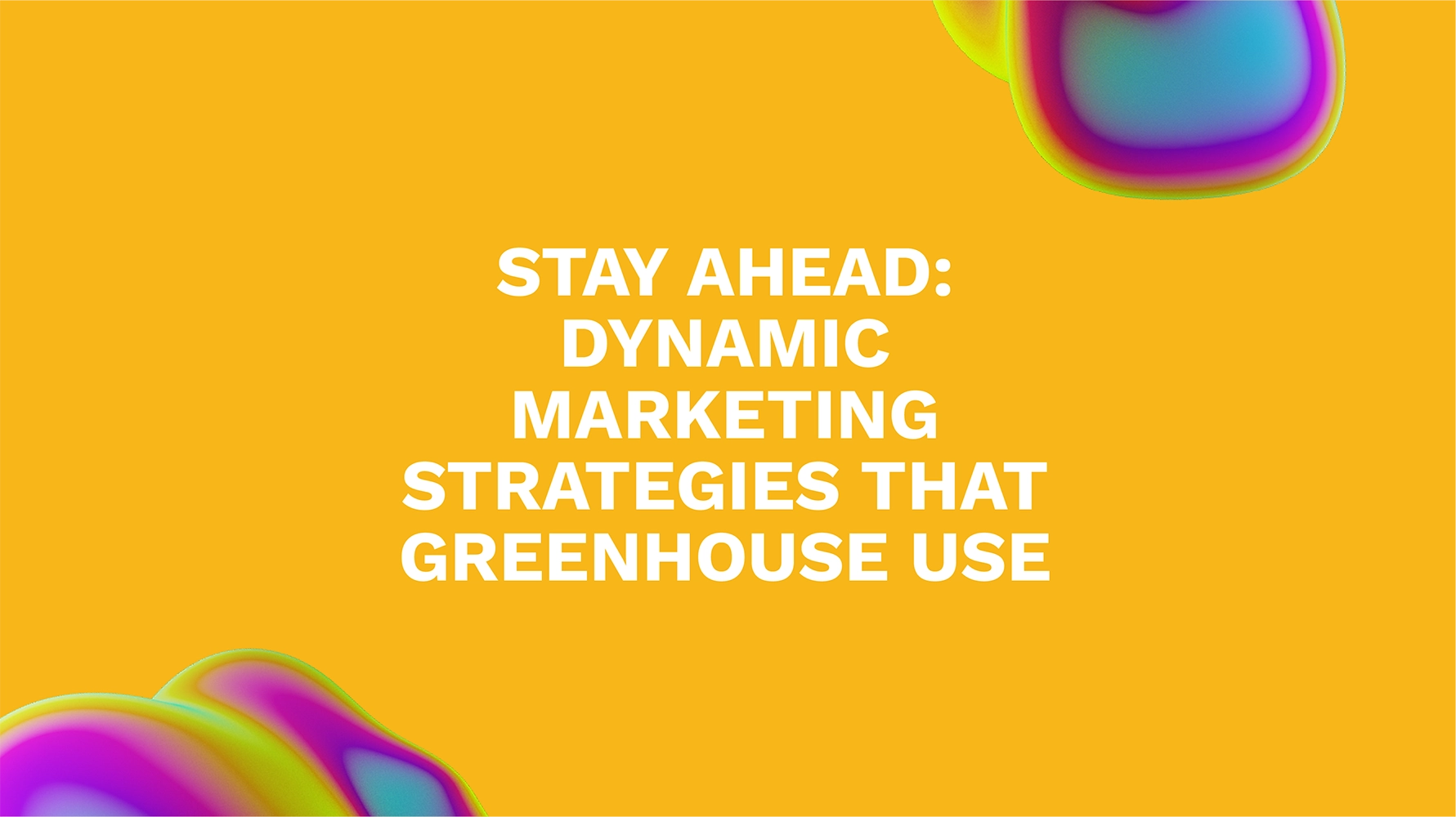 Stay Ahead: Dynamic Marketing Strategies That Greenhouse Use