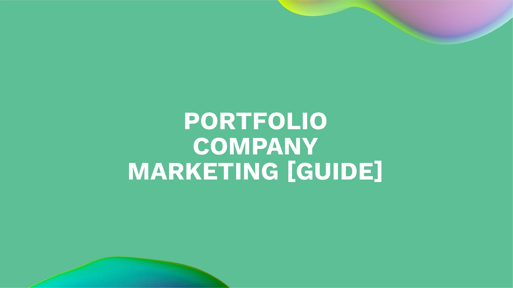 Portfolio Company Marketing [Guide]