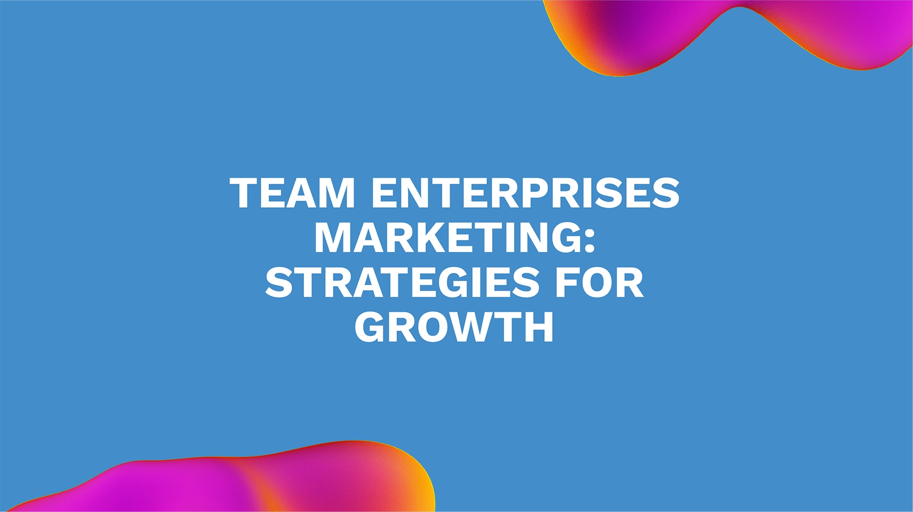 Team Enterprises Marketing: Strategies for Growth