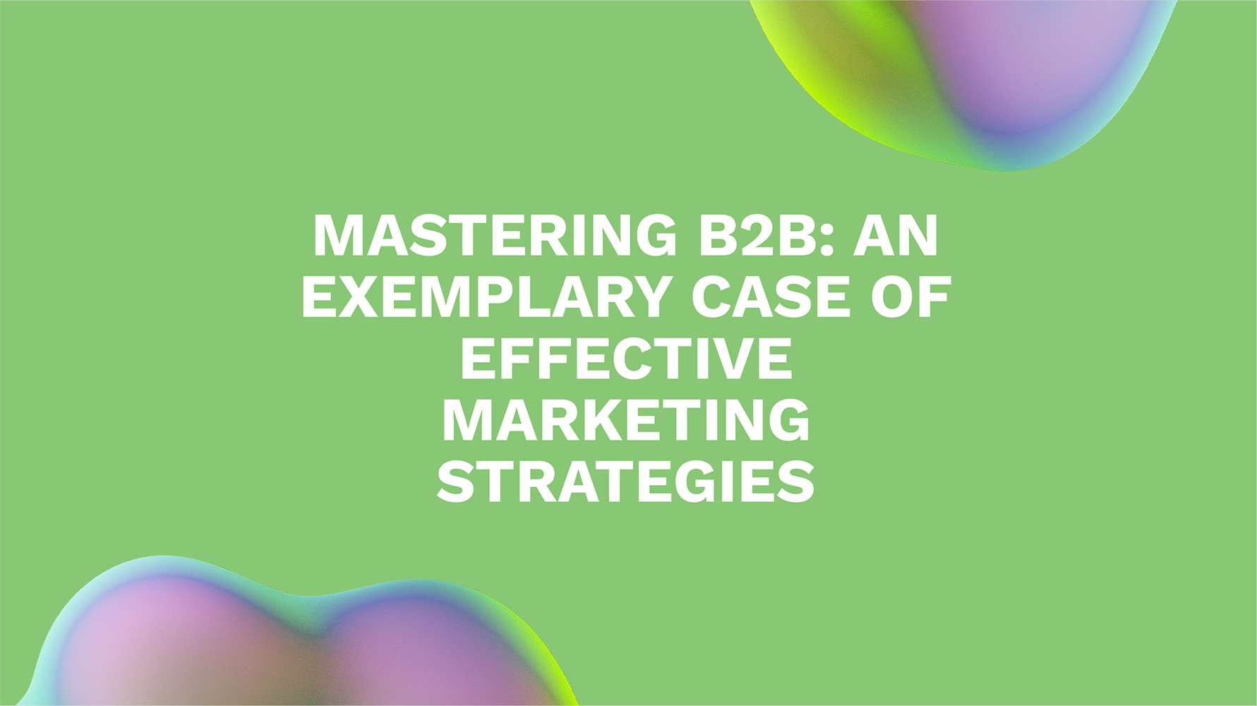 Mastering B2B: An Exemplary Case of Effective Marketing Strategies