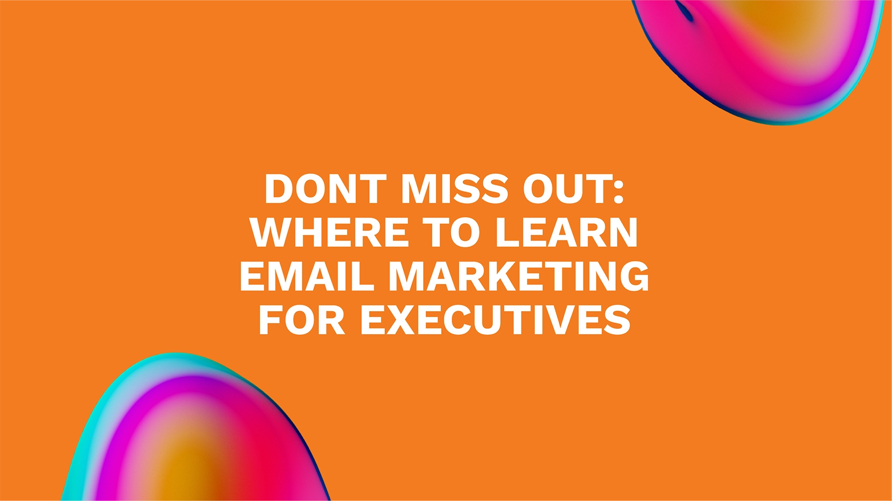 Dont Miss Out: Where to Learn Email Marketing for Executives